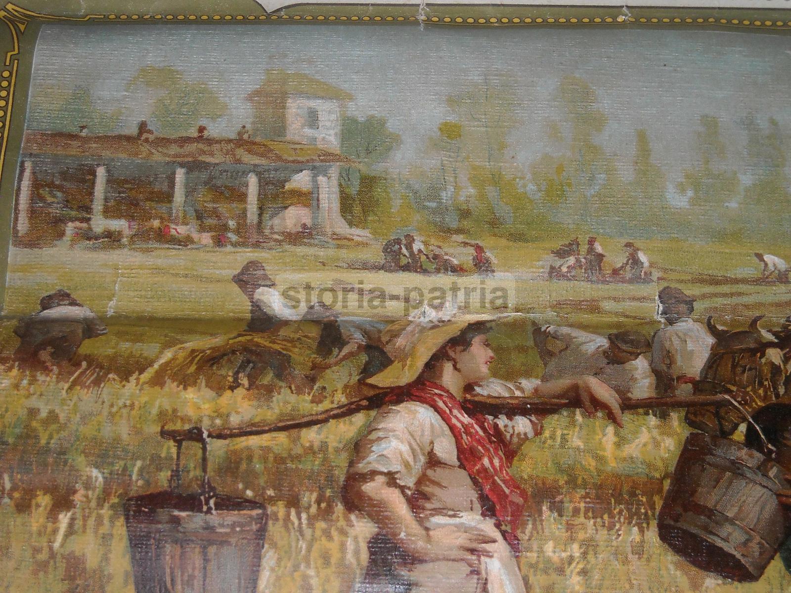 Agricoltura, Assicurazione Grandine, Generali, Grande Pubblicitaria, Calendario, 1907 immagine 2