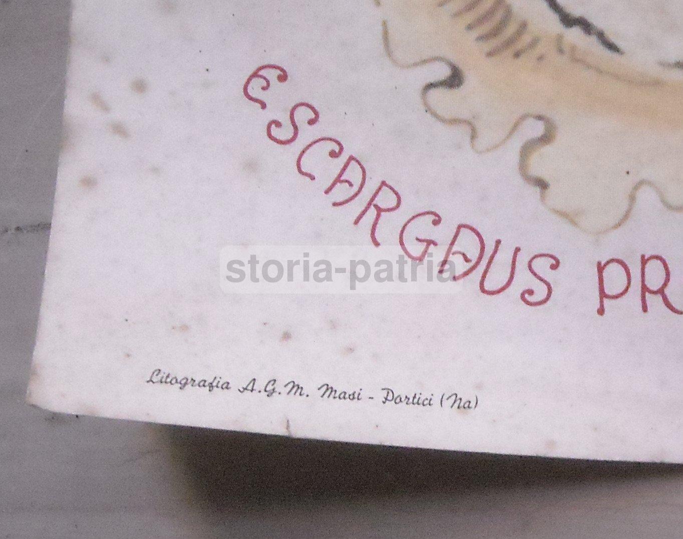 Cucina, Gastronomia, Ristoranti d'Epoca, Napoli, Folklore, Menu, Pesce, Kasslatter immagine 7