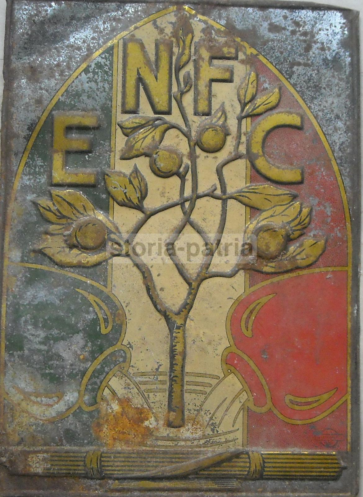 Economia, Cooperazione, Allegoria Araldica, Agricoltura, Piante, Tricolore Italiano immagine 5