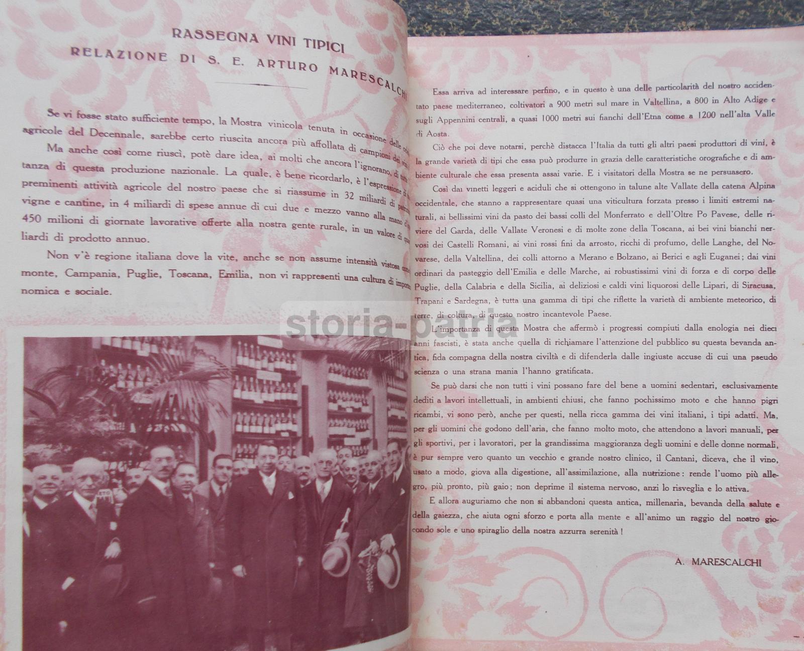 Enologia, Vino, Uve, Cantine Vinicole, Florio, Cinzano, Orvieto, Chianti, Zara, Istria immagine 2