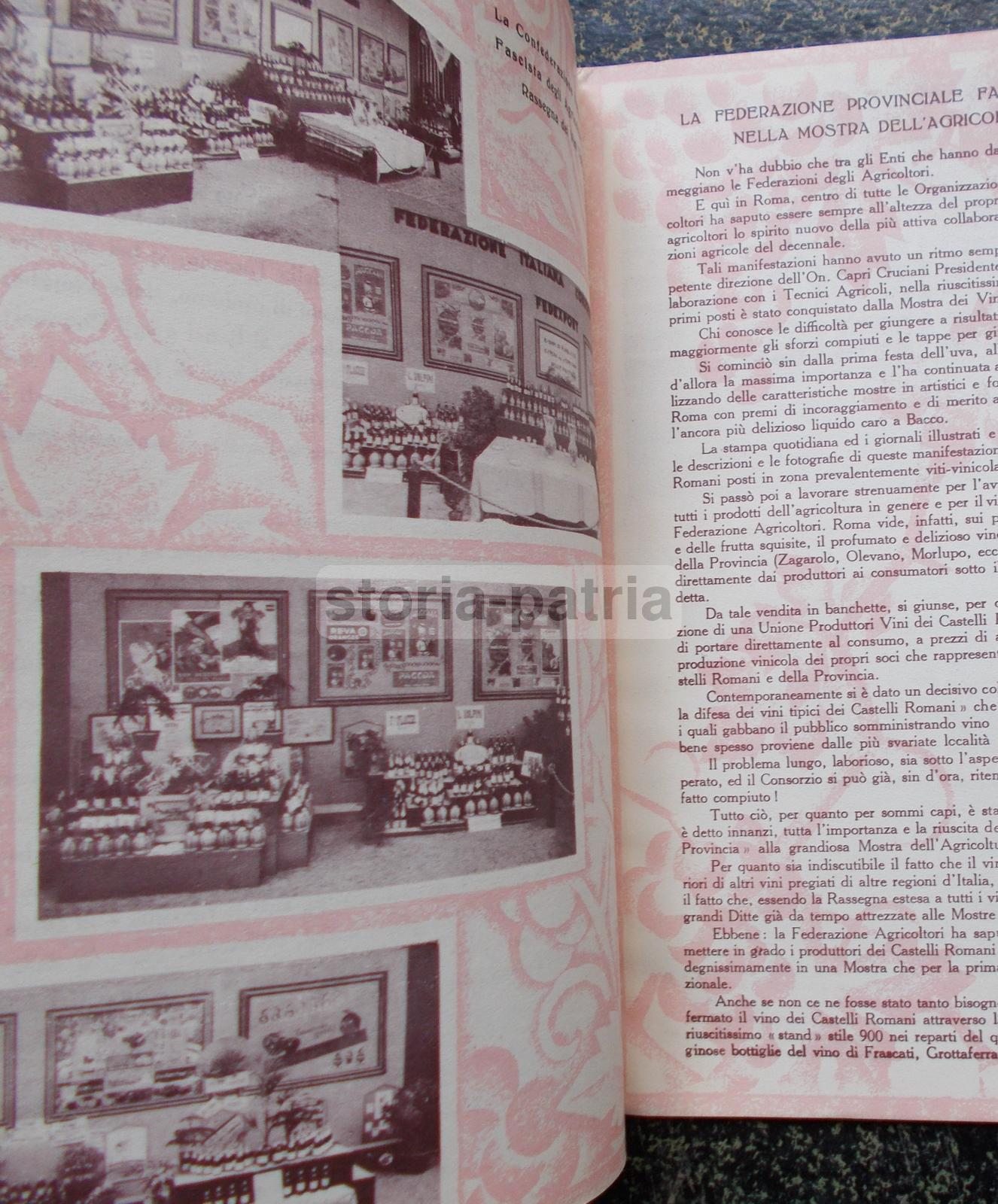 Enologia, Vino, Uve, Cantine Vinicole, Florio, Cinzano, Orvieto, Chianti, Zara, Istria immagine 3