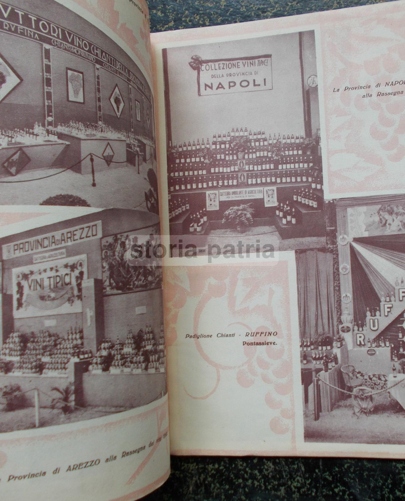 Enologia, Vino, Uve, Cantine Vinicole, Florio, Cinzano, Orvieto, Chianti, Zara, Istria immagine 4