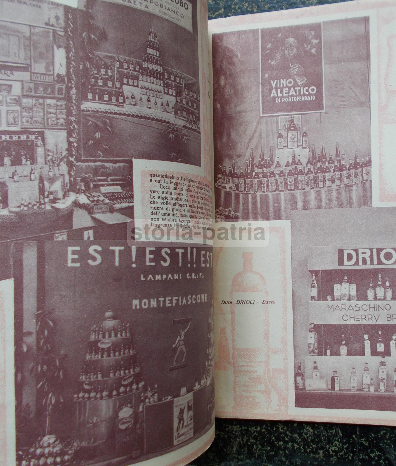 Enologia, Vino, Uve, Cantine Vinicole, Florio, Cinzano, Orvieto, Chianti, Zara, Istria immagine 5