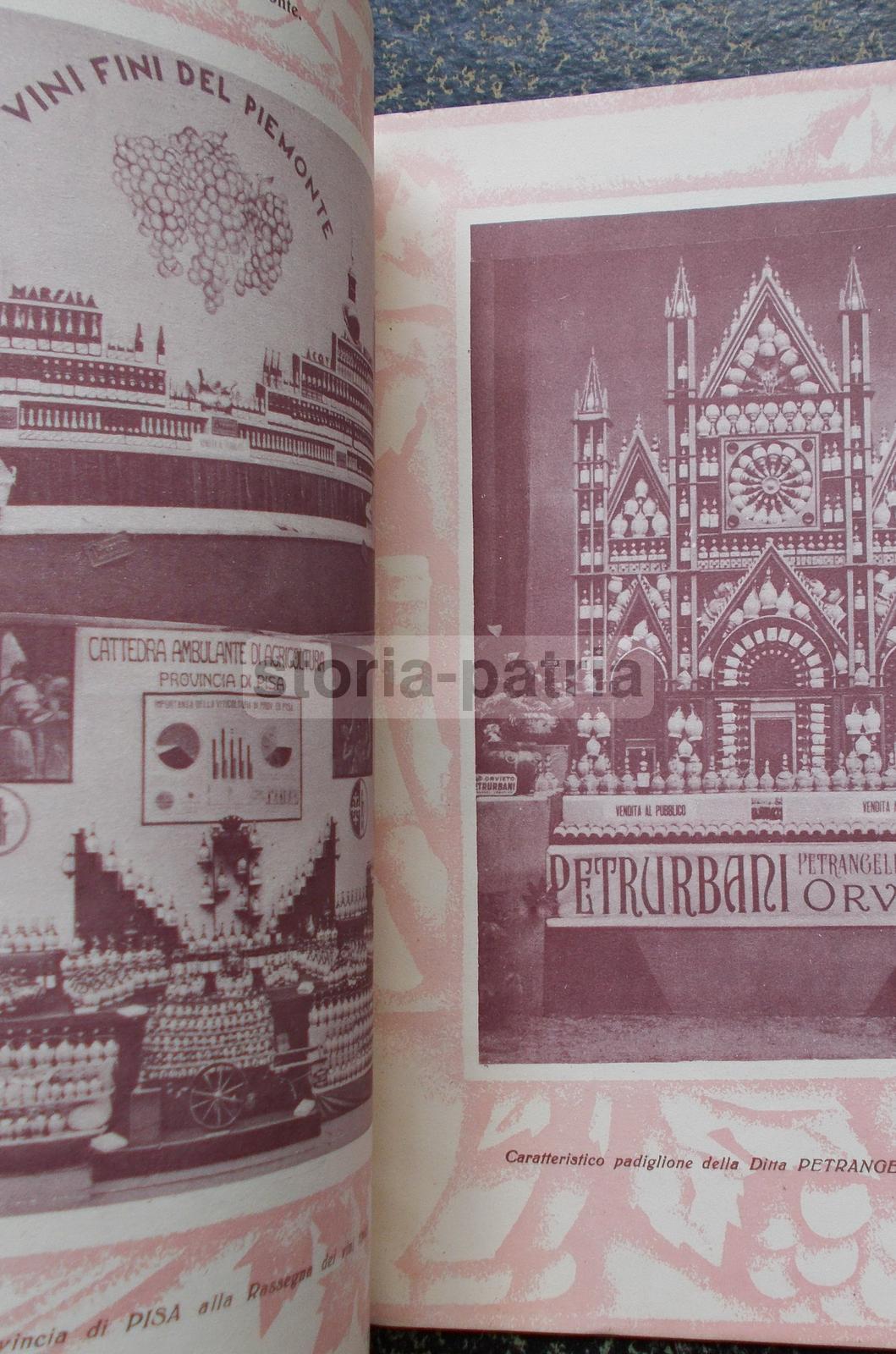 Enologia, Vino, Uve, Cantine Vinicole, Florio, Cinzano, Orvieto, Chianti, Zara, Istria immagine 6