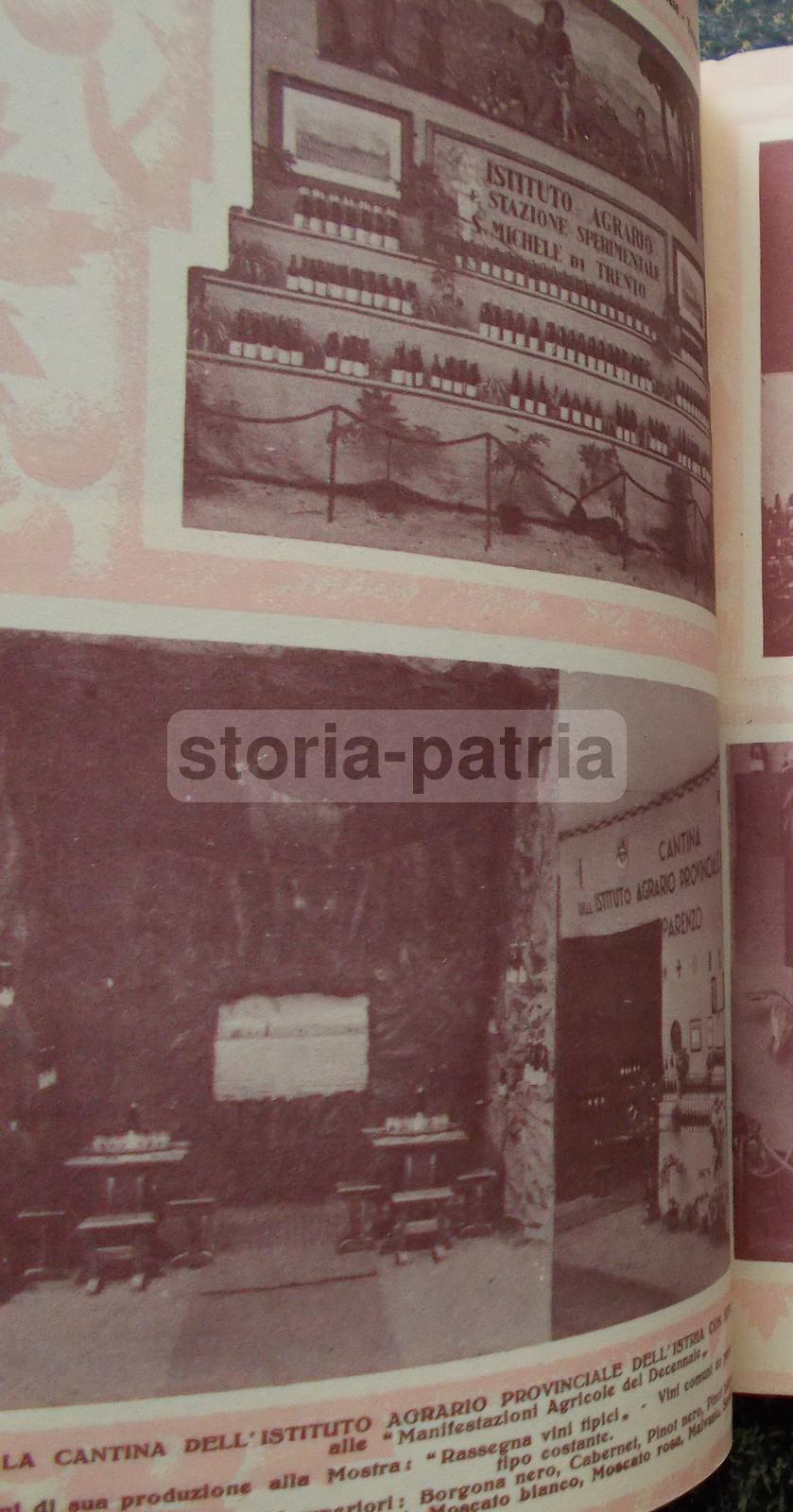 Enologia, Vino, Uve, Cantine Vinicole, Florio, Cinzano, Orvieto, Chianti, Zara, Istria immagine 8