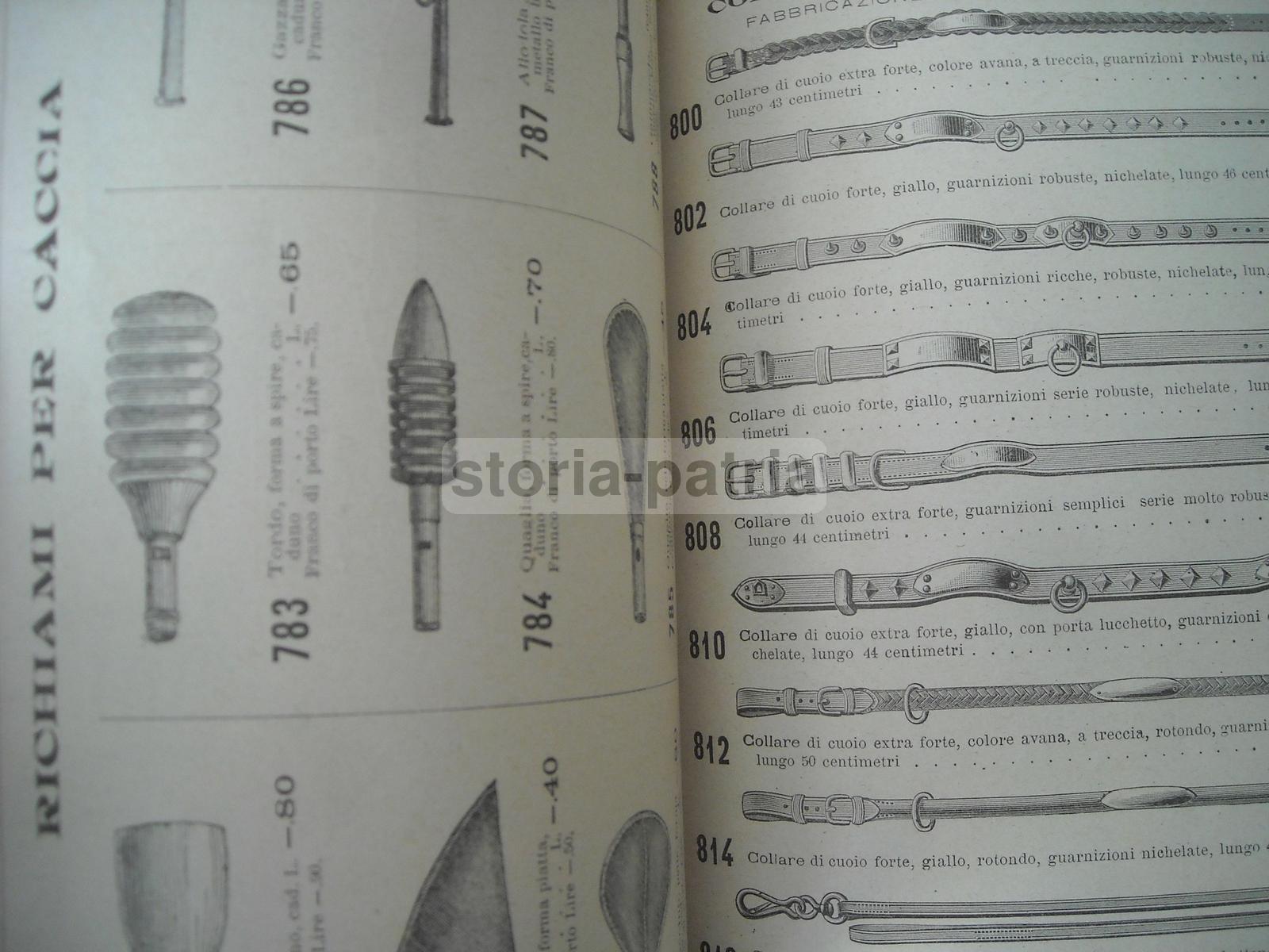 Fusi, Caccia, Cacciatori, Armeria, Sport, Ciclismo, Biciclette, Motocicli, Automobili immagine 16