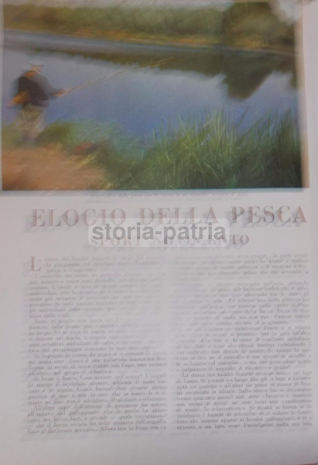 Liquori, Cognac, Sarti, Gran Premio, Bella Illustrazione Pubblicitaria, Ippica, Corse immagine 1