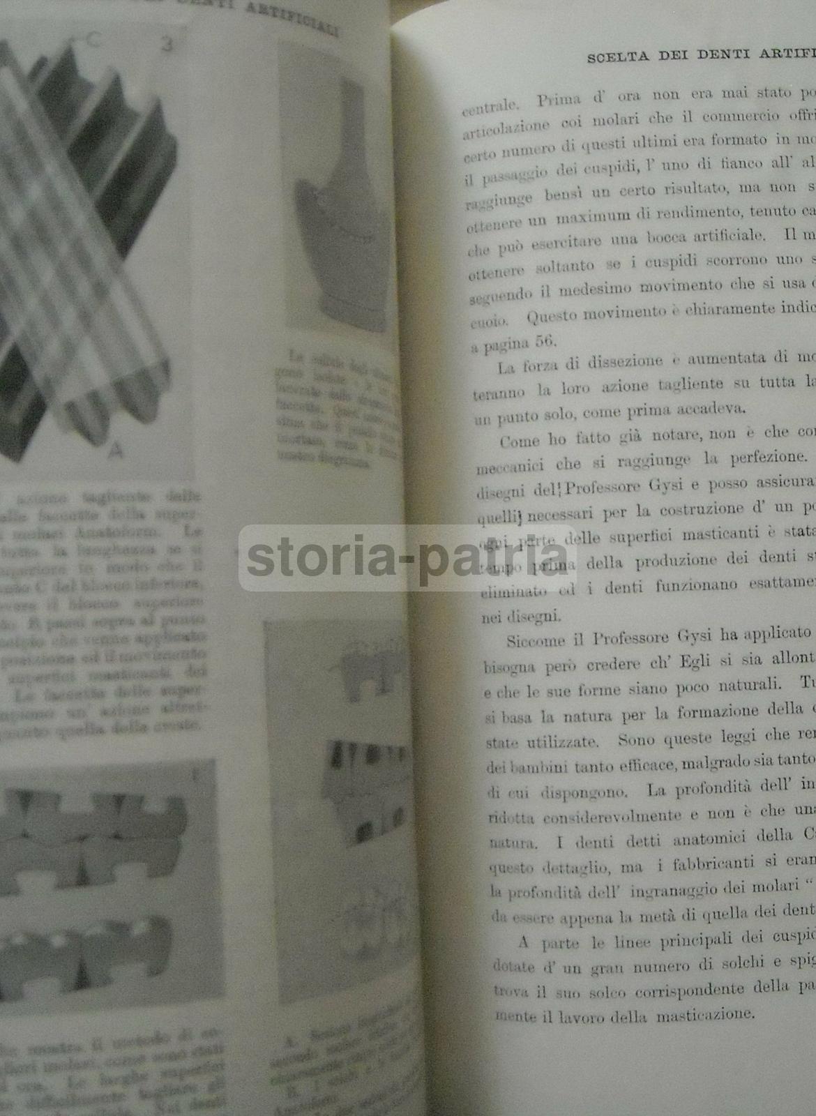 Medicina, Odontoiatria, Dentiere, Denti Artificiali, Antropologia E Dentatura Umana immagine 5