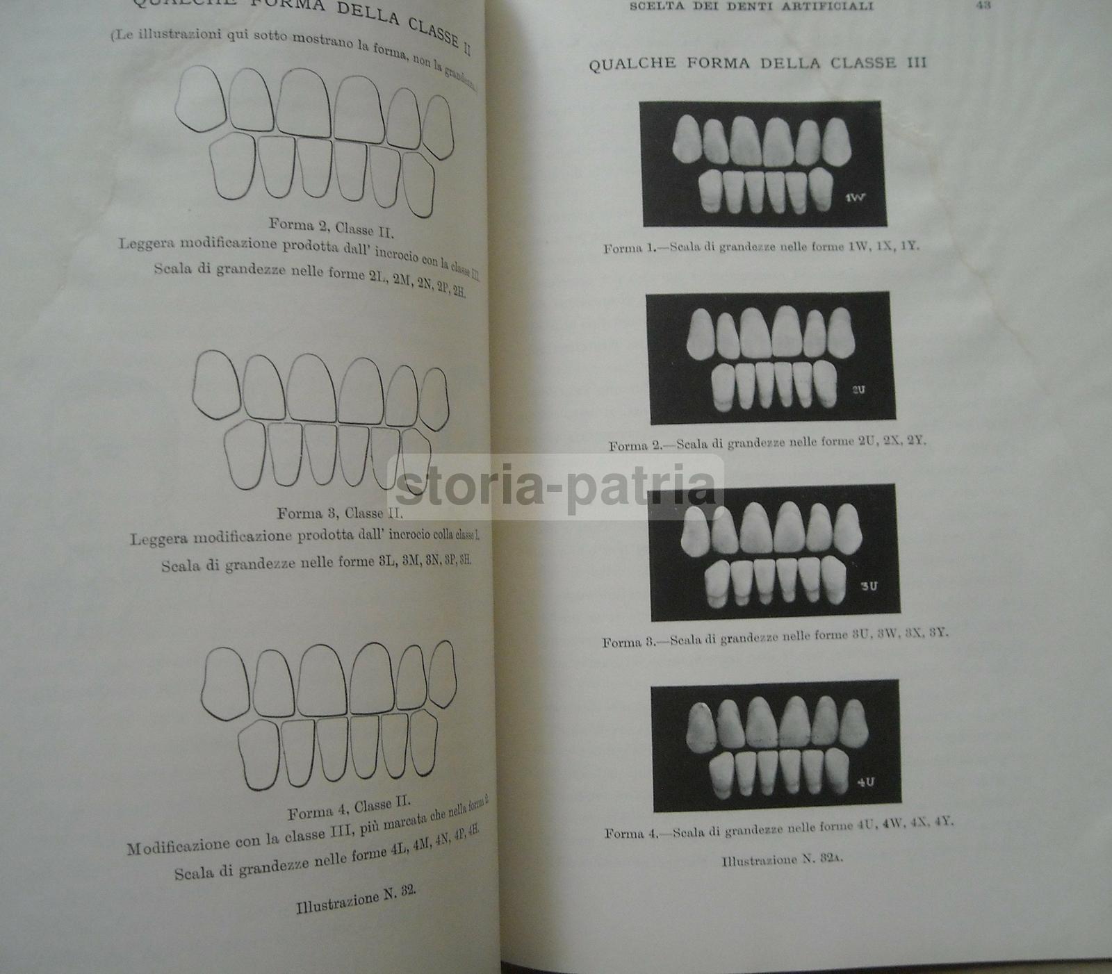 Medicina, Odontoiatria, Dentiere, Denti Artificiali, Antropologia E Dentatura Umana immagine 7